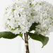 Hydrangea in Vase 38cm White - FLORA DESIGNS