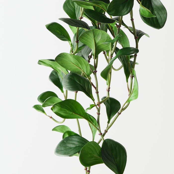 Artificial Peperomia Hanging Bush 86cm Green - Pack of 6 - FLORA DESIGNS