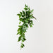 Artificial Nagi Hanging Bush 76cm Green - Pack of 6 - FLORA DESIGNS