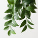 Artificial Nagi Hanging Bush 102cm Green - Pack of 6 - FLORA DESIGNS