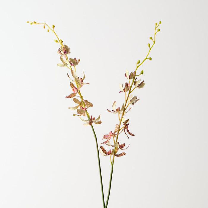 Artificial Scorpion Orchid Spray 102cm Green Eggplant - Pack of 12 - FLORA DESIGNS