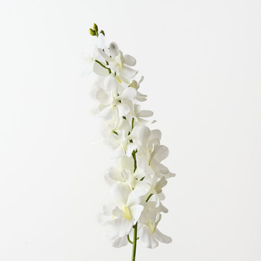 Artificial Mokara Orchid Spray 74cm Cream - Pack of 12 - FLORA DESIGNS