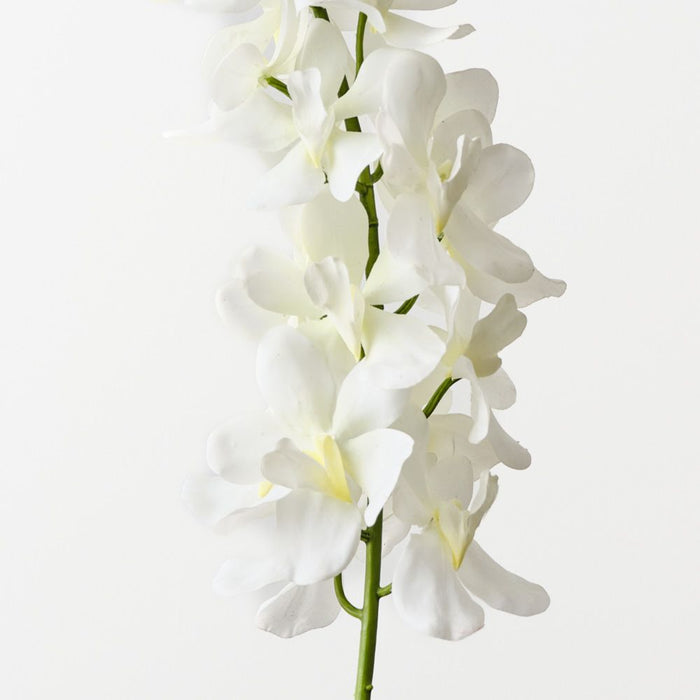 Artificial Mokara Orchid Spray 74cm Cream - Pack of 12 - FLORA DESIGNS