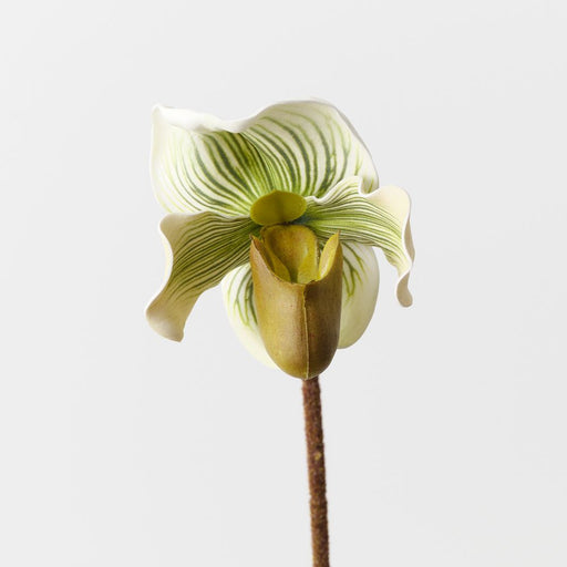 Artificial Lady Slipper Orchid 48cm Light Green - FLORA DESIGNS
