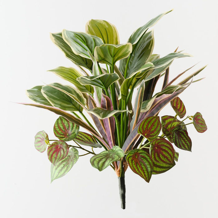 Artificial Hosta Dracaena Mix Bush 39cm Green White - Pack of 6 - FLORA DESIGNS