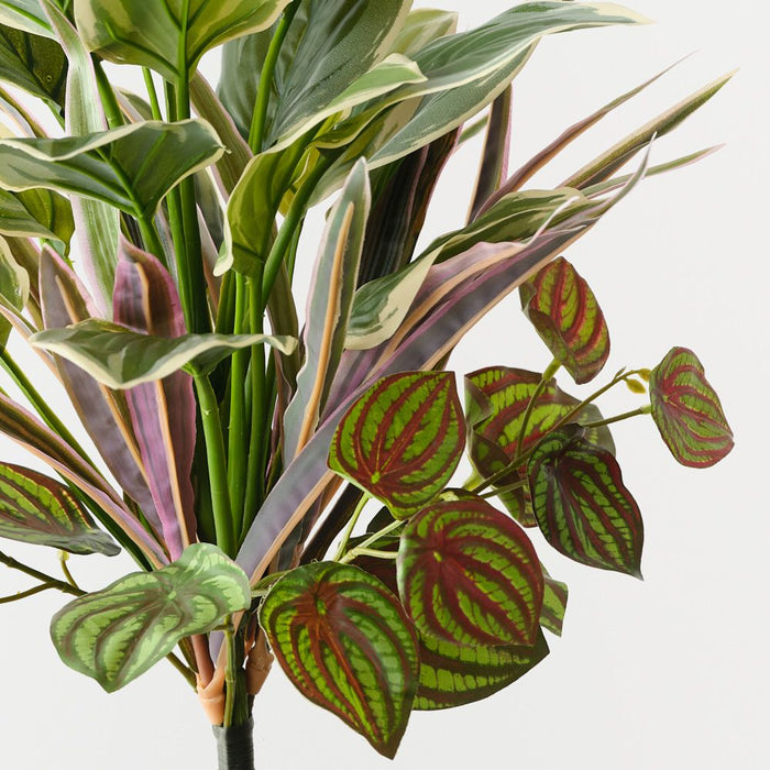 Artificial Hosta Dracaena Mix Bush 39cm Green White - Pack of 6 - FLORA DESIGNS