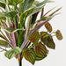 Artificial Hosta Dracaena Mix Bush 39cm Green White - Pack of 6 - FLORA DESIGNS