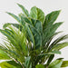 Artificial Aglaonema Palm Mix Bush 48cm Green White - Pack of 6 - FLORA DESIGNS
