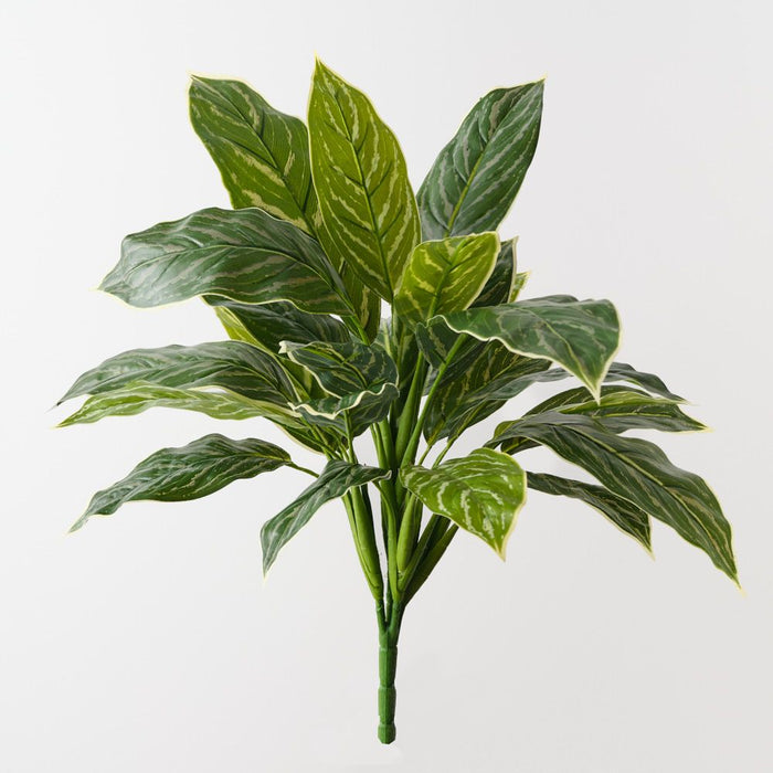 Artificial Calathea Bush 39cm Green White - Pack of 6 - FLORA DESIGNS