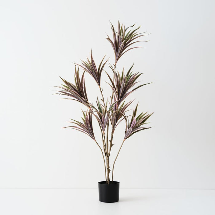 Artificial Dracaena Plant 112cm Green Pink - Pack of 2 - FLORA DESIGNS