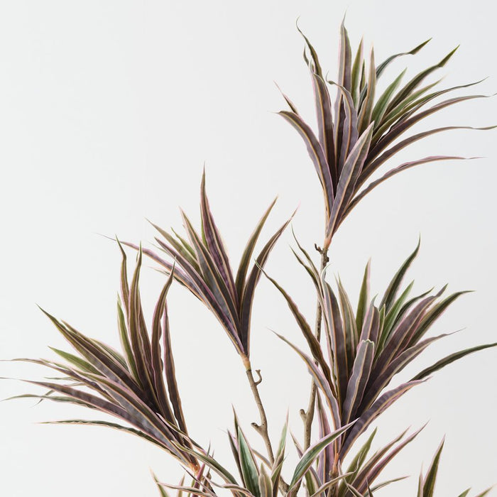 Artificial Dracaena Plant 112cm Green Pink - Pack of 2 - FLORA DESIGNS