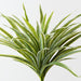 Artificial Dracaena Bush 30cm Green White - Pack of 6 - FLORA DESIGNS