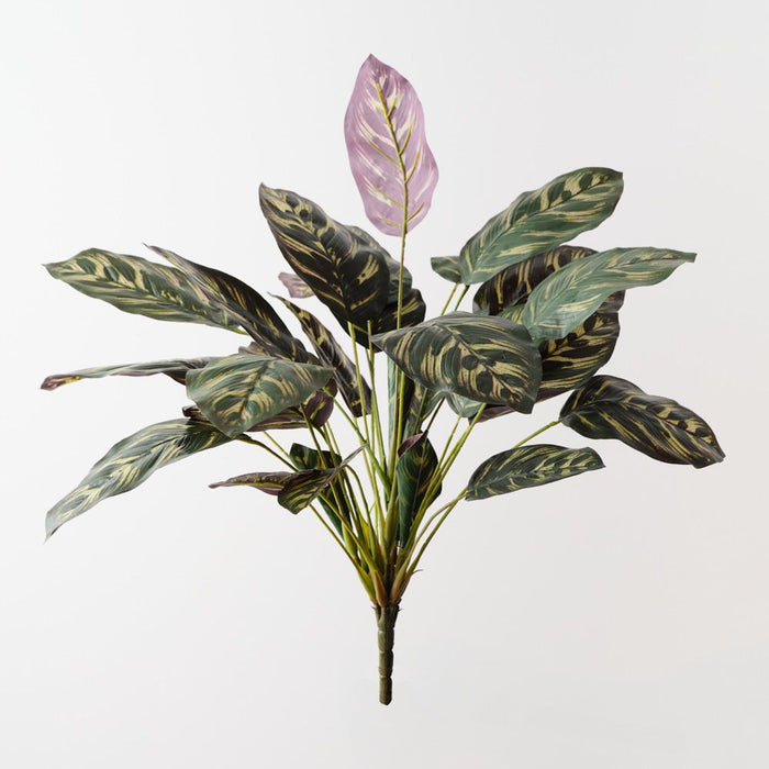 Artificial Calathea Bush 50cm Dark Green - Pack of 6 - FLORA DESIGNS