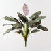 Artificial Calathea Bush 50cm Dark Green - Pack of 6 - FLORA DESIGNS