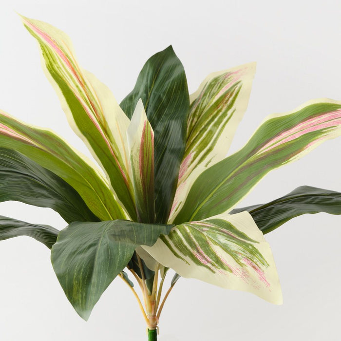 Artificial Cordyline Bush 39cm Green White Pink - Pack of 12 - FLORA DESIGNS