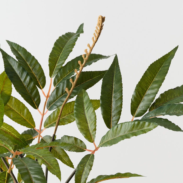 Artificial Mango Fern Bush 56cm Green - Pack of 6 - FLORA DESIGNS