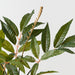 Artificial Mango Fern Bush 56cm Green - Pack of 6 - FLORA DESIGNS