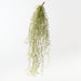 Artificial Spanish Moss Hanging Bush 68cm Green - Pack of 6 - FLORA DESIGNS