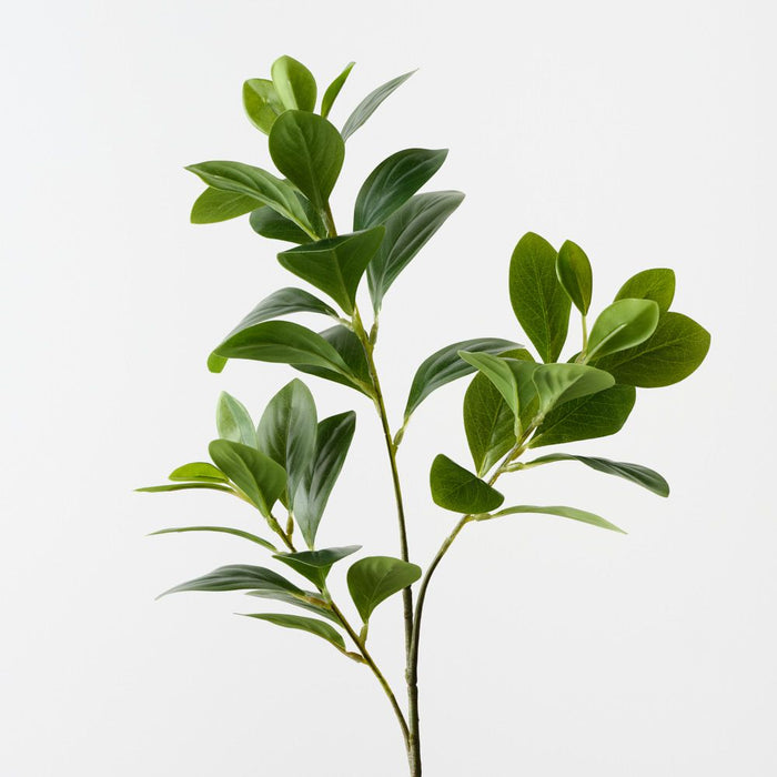 Artificial Peperomia Spray 69cm Green - Pack of 12 - FLORA DESIGNS