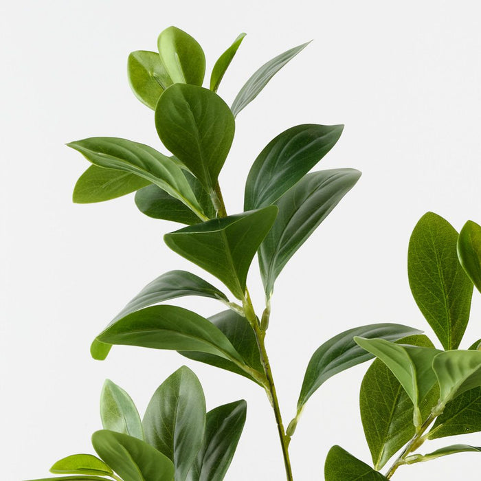 Artificial Peperomia Spray 69cm Green - Pack of 12 - FLORA DESIGNS