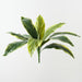 Artificial Cordyline Bush 39cm Variegated - Pack of 12 - FLORA DESIGNS