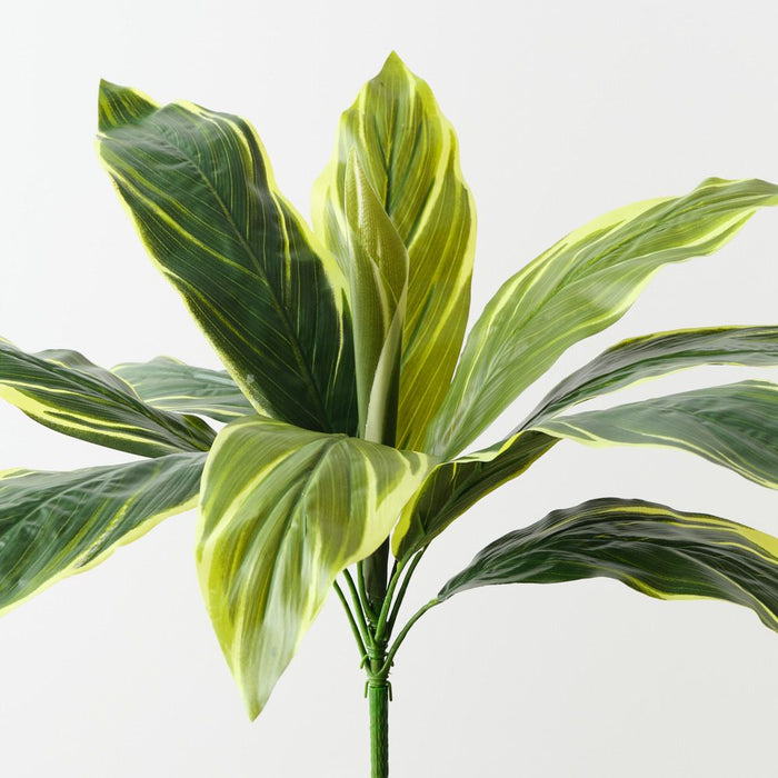 Artificial Cordyline Bush 39cm Variegated - Pack of 12 - FLORA DESIGNS