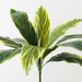 Artificial Cordyline Bush 39cm Variegated - Pack of 12 - FLORA DESIGNS