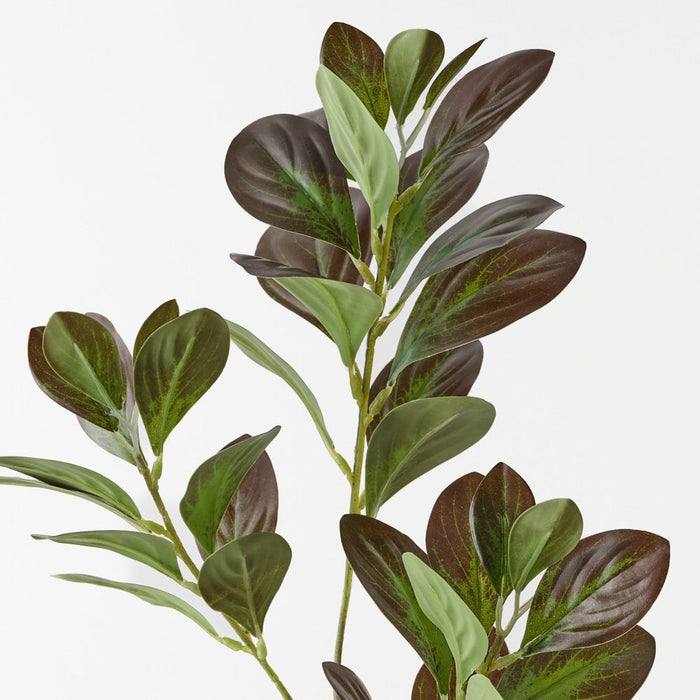 Artificial Peperomia Spray 69cm Eggplant Green - Pack of 12 - FLORA DESIGNS