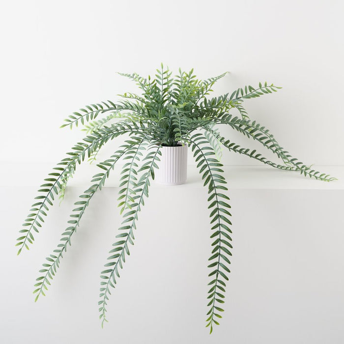 Artificial Columnea Plant 58cm Grey Green - Pack of 6 - FLORA DESIGNS