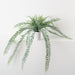 Artificial Columnea Plant 58cm Grey Green - Pack of 6 - FLORA DESIGNS