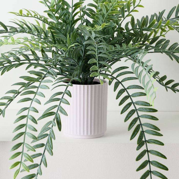 Artificial Columnea Plant 58cm Grey Green - Pack of 6 - FLORA DESIGNS