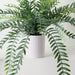 Artificial Columnea Plant 58cm Grey Green - Pack of 6 - FLORA DESIGNS