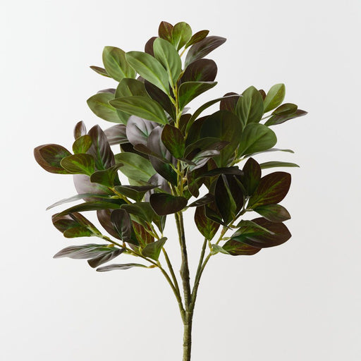Artificial Peperomia Bush 53cm Eggplant Green - FLORA DESIGNS