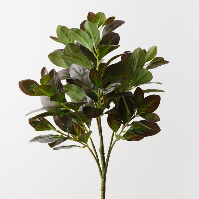 Artificial Peperomia Bush 53cm Eggplant Green - FLORA DESIGNS
