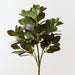 Artificial Peperomia Bush 53cm Eggplant Green - FLORA DESIGNS