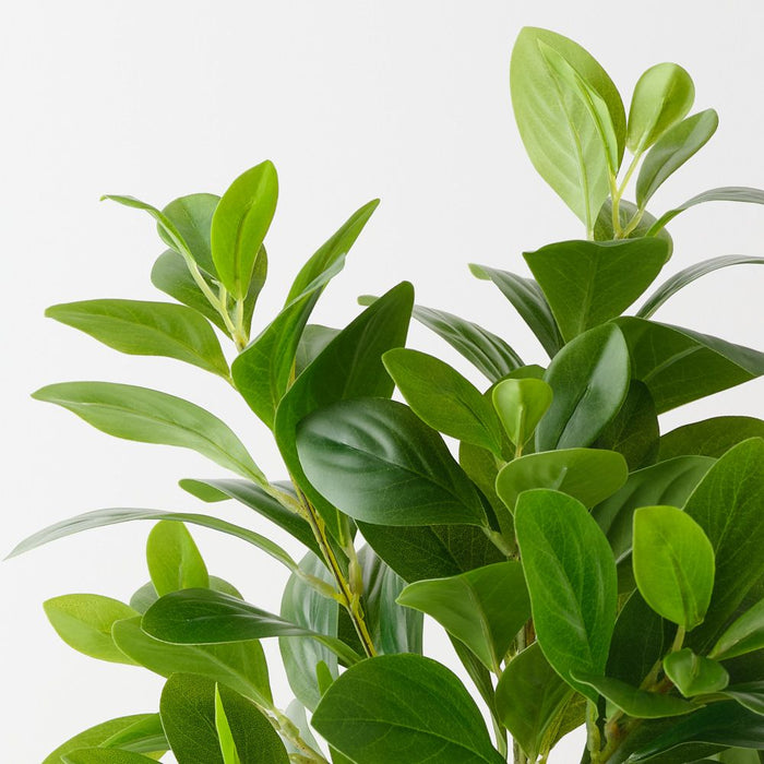 Artificial Peperomia Bush 53cm Green - Pack of 6 - FLORA DESIGNS