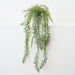 Artificial Senecio Plant 63cm Green - Pack of 6 - FLORA DESIGNS