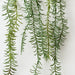Artificial Senecio Plant 63cm Green - Pack of 6 - FLORA DESIGNS