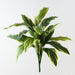 Artificial Cordyline Bush 56cm Variegated - Pack of 6 - FLORA DESIGNS