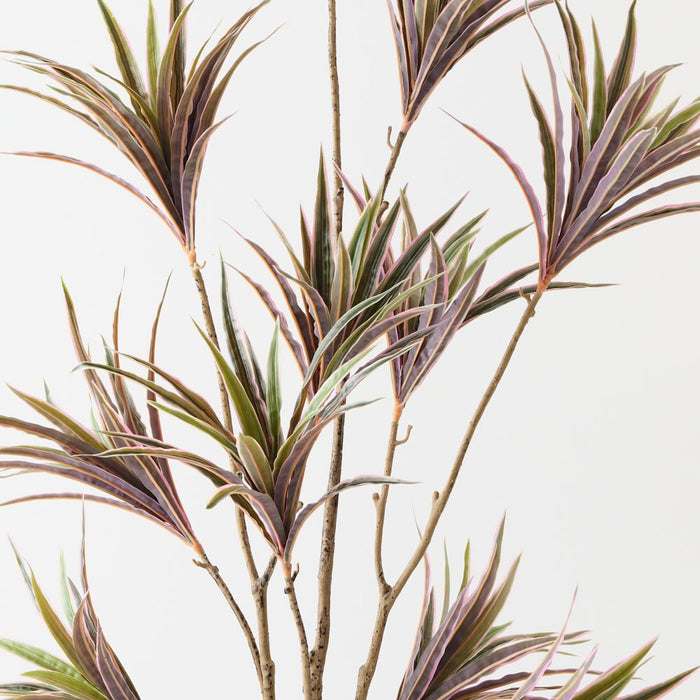 Artificial Dracaena Plant 143cm Green Pink - Pack of 2 - FLORA DESIGNS