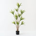 Artificial Dracaena Plant 143cm Green White - Pack of 2 - FLORA DESIGNS