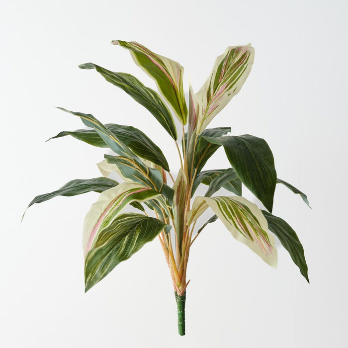 Artificial Cordyline Bush 56cm Green White Pink - Pack of 6 - FLORA DESIGNS