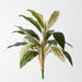 Artificial Cordyline Bush 56cm Green White Pink - Pack of 6 - FLORA DESIGNS
