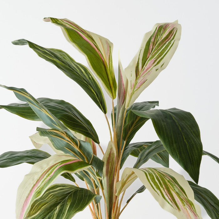 Artificial Cordyline Bush 56cm Green White Pink - Pack of 6 - FLORA DESIGNS