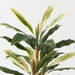 Artificial Cordyline Plant 80cm Green White Pink - Pack of 2 - FLORA DESIGNS