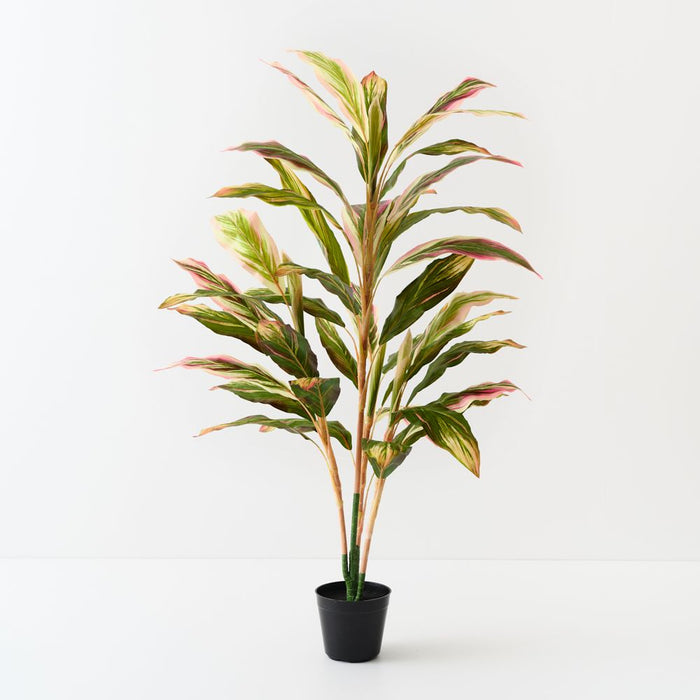 Artificial Cordyline Plant 112cm Green Pink - Pack of 2 - FLORA DESIGNS