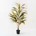Artificial Cordyline Plant 112cm Green Pink - Pack of 2 - FLORA DESIGNS