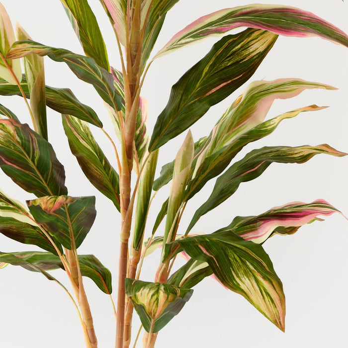 Artificial Cordyline Plant 112cm Green Pink - Pack of 2 - FLORA DESIGNS