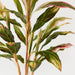 Artificial Cordyline Plant 112cm Green Pink - Pack of 2 - FLORA DESIGNS