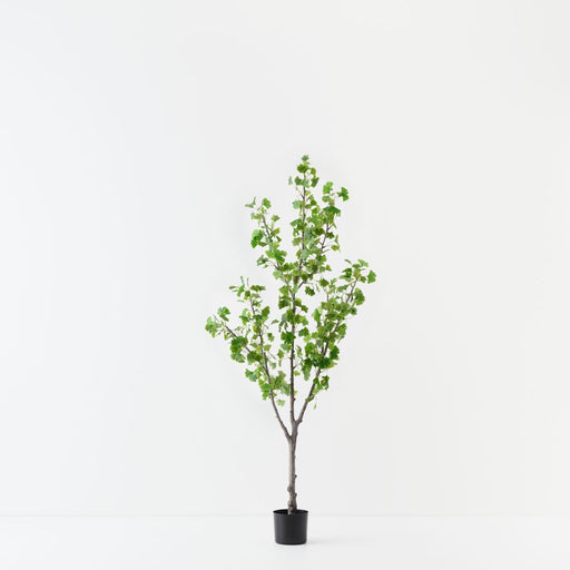 Artificial Gingko Tree 183cm Green - FLORA DESIGNS